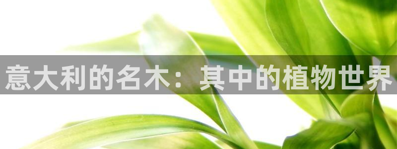 新宝gg开户流程:意大利的名木:其中的植物世界