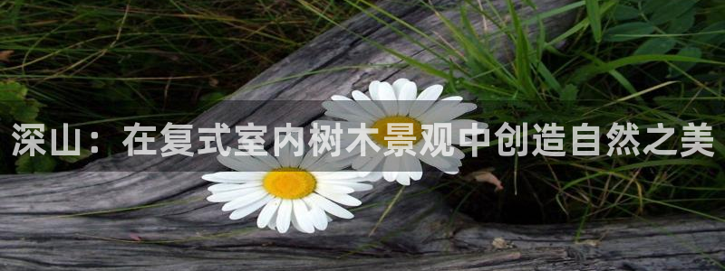 96新宝gg:深山:在复式室内树木景观中创造自然之美