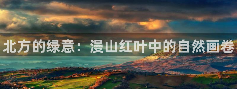 新宝gg娱乐首页:北方的绿意:漫山红叶中的自然画卷