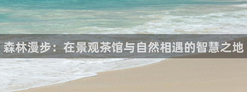 新宝彩票gg:森林漫步:在景观茶馆与自然相遇的智慧之地