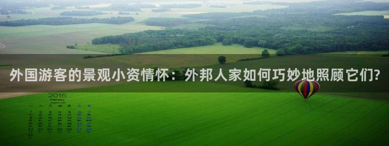 新宝GG扩展78778:外国游客的景观小资情怀:外邦人家如何巧妙地照顾它们?