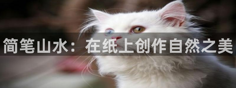 新宝gg注册登录:简笔山水:在纸上创作自然之美