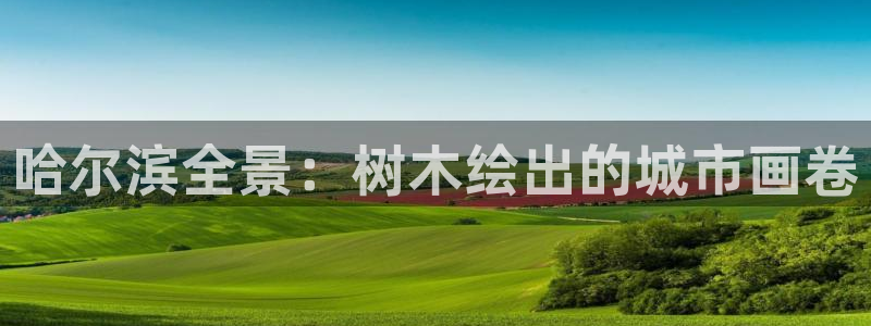 新宝gg娱乐平台:哈尔滨全景:树木绘出的城市画卷