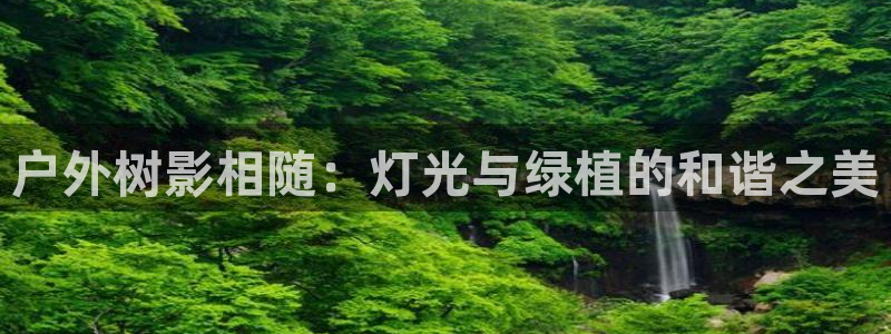 新宝gg平台开发:户外树影相随:灯光与绿植的和谐之美