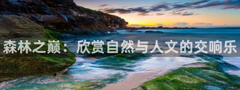 新宝gg客户端下载:森林之巅:欣赏自然与人文的交响乐