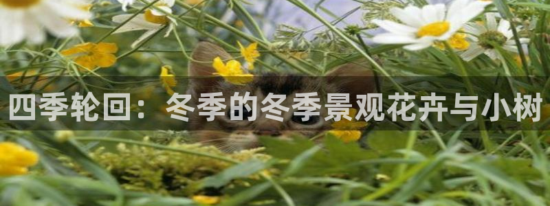 新宝gg金砖彩票:四季轮回:冬季的冬季景观花卉与小树