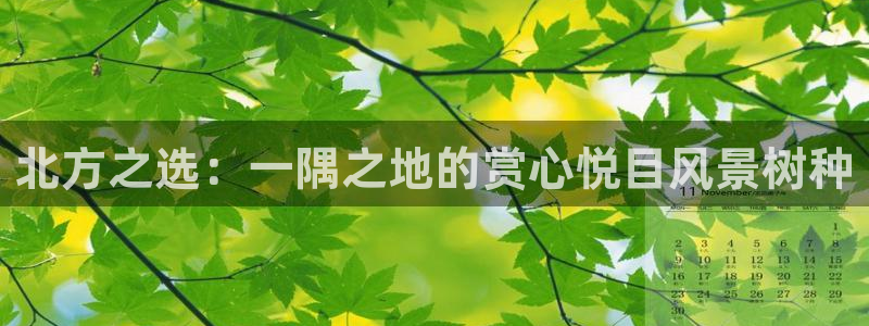 l新宝gg:北方之选:一隅之地的赏心悦目风景树种
