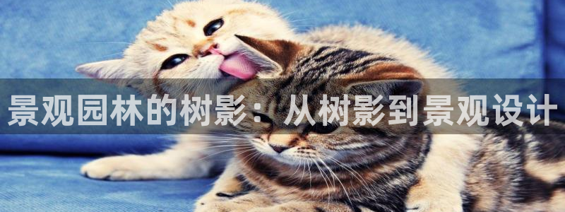 新宝gg下载官网下载:景观园林的树影:从树影到景观设计