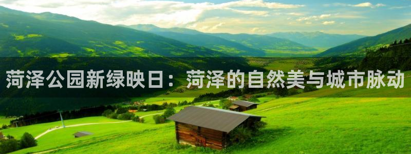 新宝gg创造奇迹平台:菏泽公园新绿映日:菏泽的自然美与城市脉动